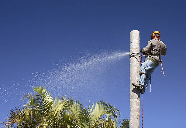 Lawn Irrigation Installation and Maintenance in San Augustine, TX